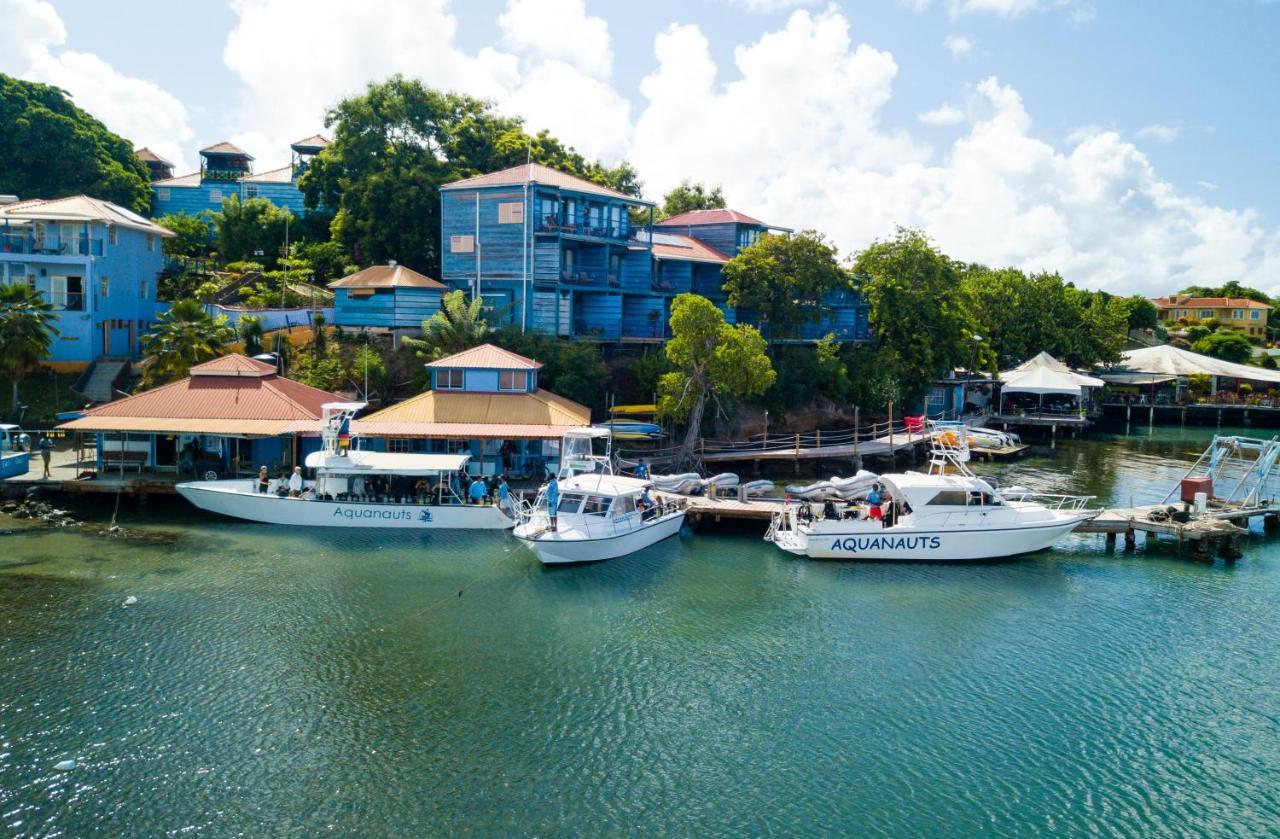 True Blue Bay Resort St. George's Exterior foto