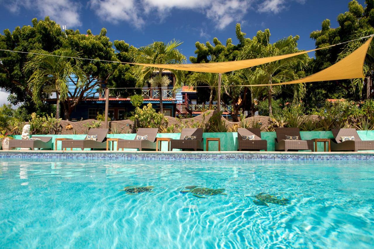 True Blue Bay Resort St. George's Exterior foto